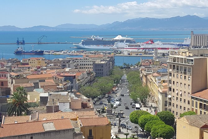 Cagliari Private Shore Excursion: Hop-on Hop-off City Experience - Key things I’d pay attention to