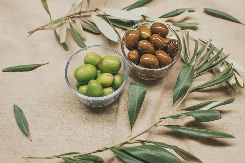 Cagliari: private tasting of fine extra virgin olive oil - When this works best (and when it might not)