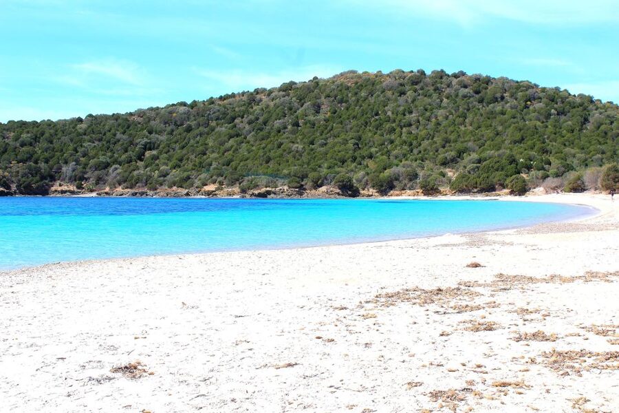 Cagliari Shore Excursion: Amazing Hidden Beaches Jeep Tour - Where You Start: Cruise Terminal Pickup and a 40-Minute Scenic Drive