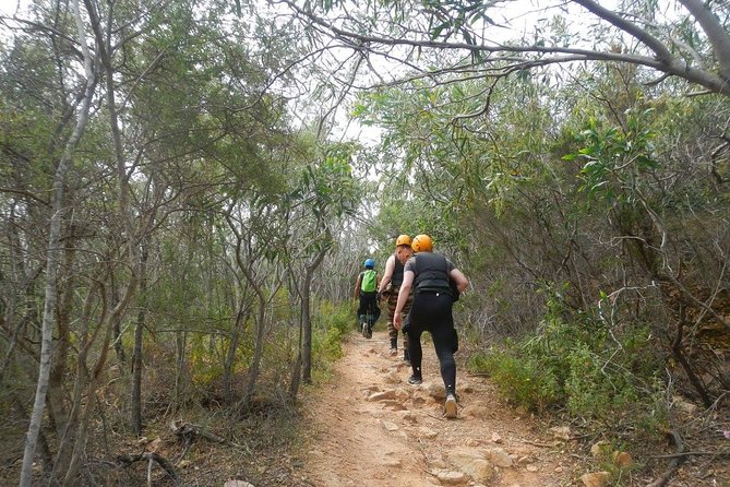 Cagliari Shore Excursion: Professional Guided Coasteering - The 5–6 hour flow: quick transfer, 4 hours on the coast, then a Cagliari drive-back