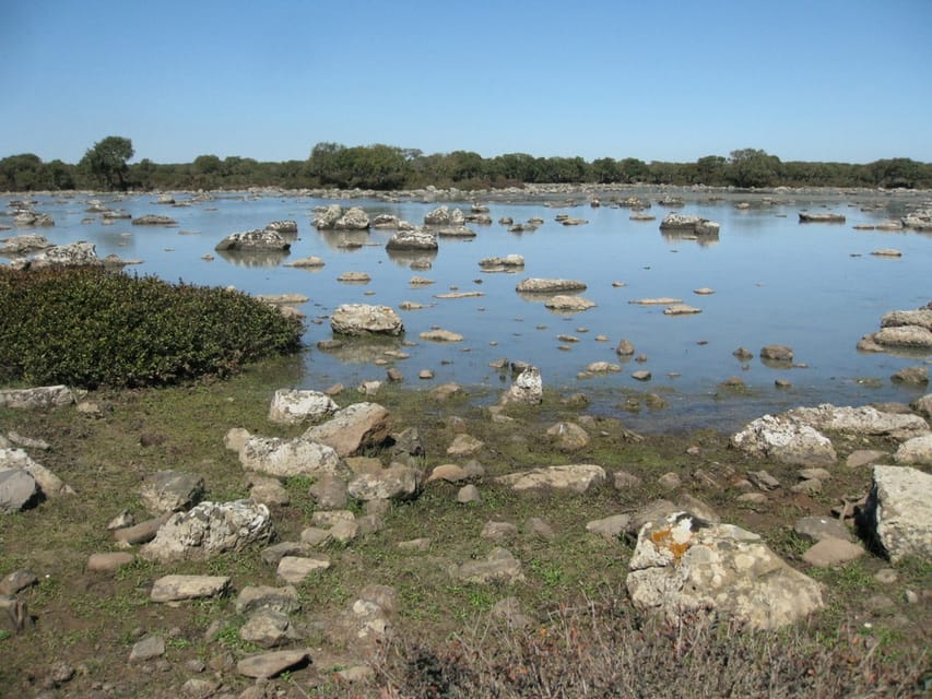 Cagliari: Su Nuraxi Barumini Unesco & Giara Horses 4h Tour - The short drive + walk into Parco della Giara