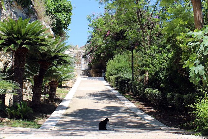 Cagliari urban trekking experience: the city you did not expect - Leaving the port behind: why this walk feels special in Cagliari