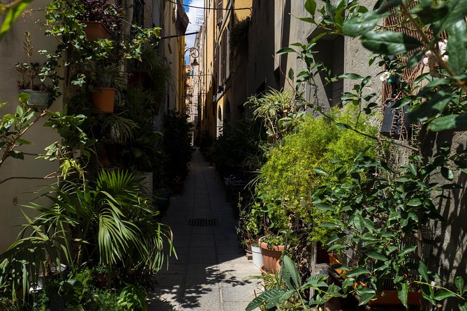 Cagliari Walking Tour: A Walk Through the Ancient Districts - Pace, Timing, and What to Wear
