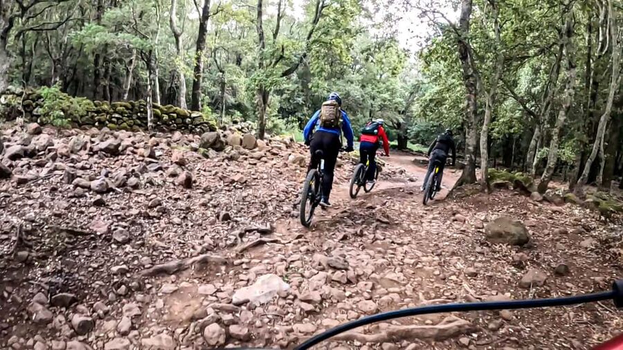 Cala Gonone and Dorgali e-bike tour - Who this e-bike day tour suits best (and who should skip it)