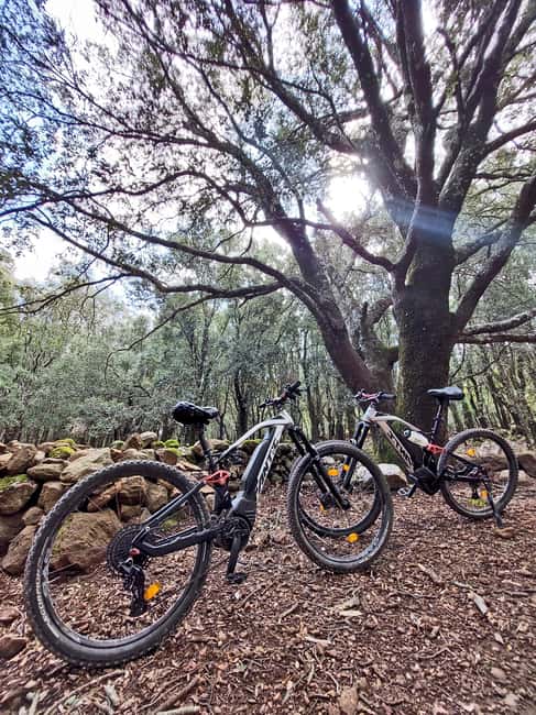Cala Gonone and Dorgali e-bike tour - From Cala Gonone shop meeting point to a day that actually feels full
