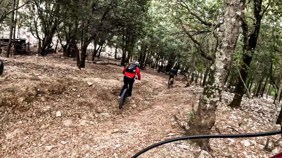 Cala Gonone and Dorgali e-bike tour - The countryside return: vineyards, olive groves, and slower thinking