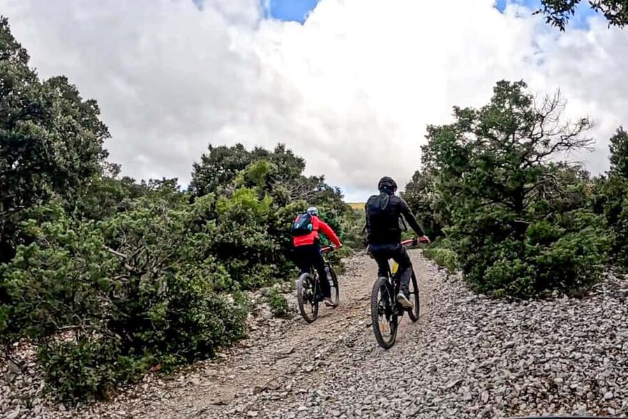 Cala Gonone and Dorgali e-bike tour - Pace, route choice, and how to make the day feel right
