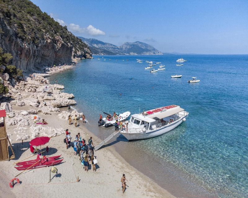 Cala Gonone: Gulf of Orosei Cruise with Food and Swimming - Key highlights worth planning for