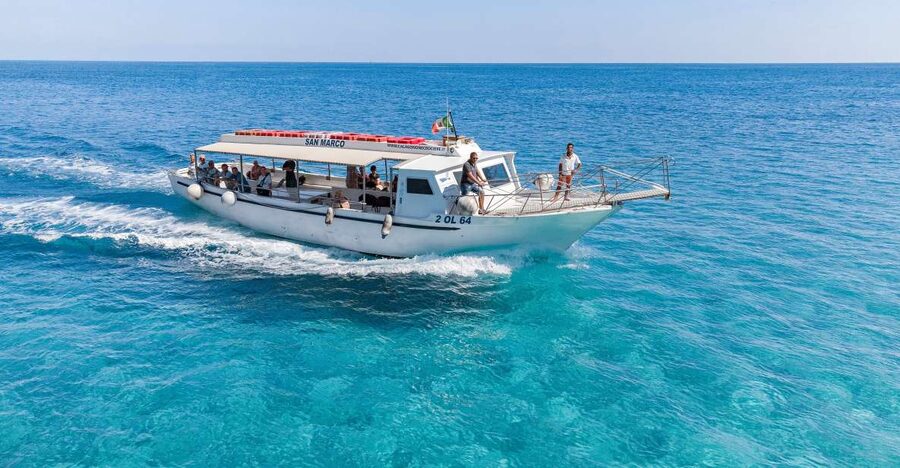 Cala Gonone: Gulf of Orosei Cruise with Food and Swimming - Sardinian food and wine tasting: what’s included (and what to pack anyway)