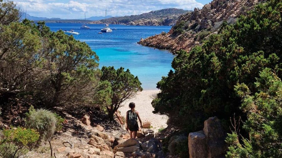 Caprera: hiking to Cala Coticcio with aperitif - What the Park guide actually changes (Manuele’s kind of detail)