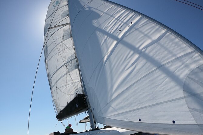 Catamaran Alghero, Catamaran Sailing Day Trip - Who Should Book This (and Who Might Want a Different Style)
