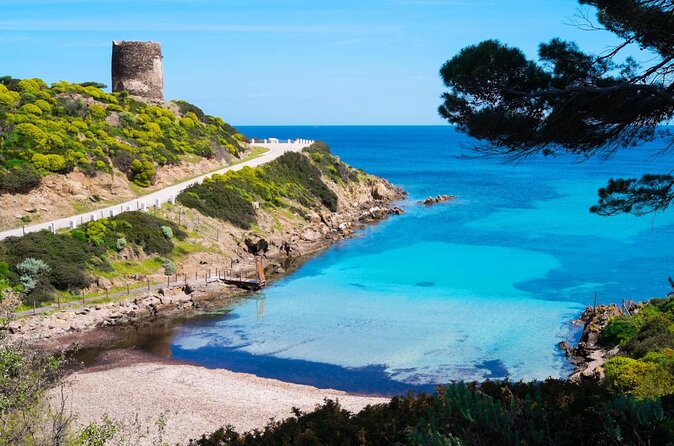 Catamaran excursions in the Asinara island National park - Sardinia’s Asinara National Park, seen the practical way