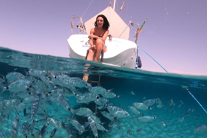 Catamaran excursions in the Asinara island National park - The lunch is part of the itinerary, not an afterthought