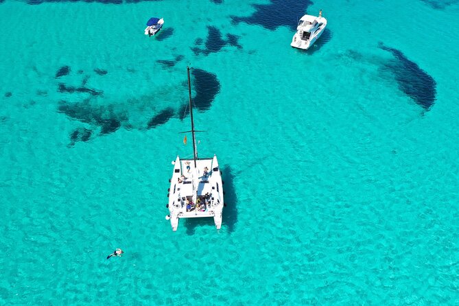 Catamaran excursions in the Asinara island National park - Timing, meeting point, and how to plan your day in Stintino