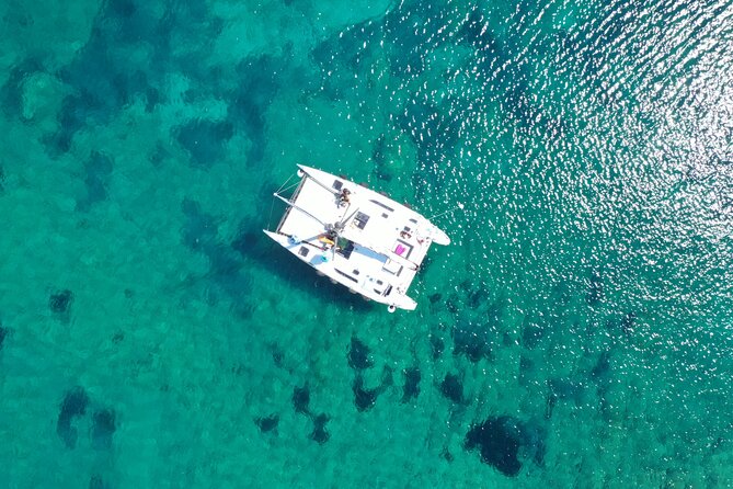 Catamaran excursions in the Asinara island National park - Stop-by-stop: the Asinara swim and snorkeling plan