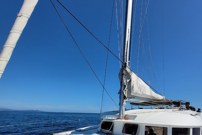 Catamaran Tour from La Caletta near Olbia – Experience Sardinia’s Coast - Who this catamaran day trip is best for