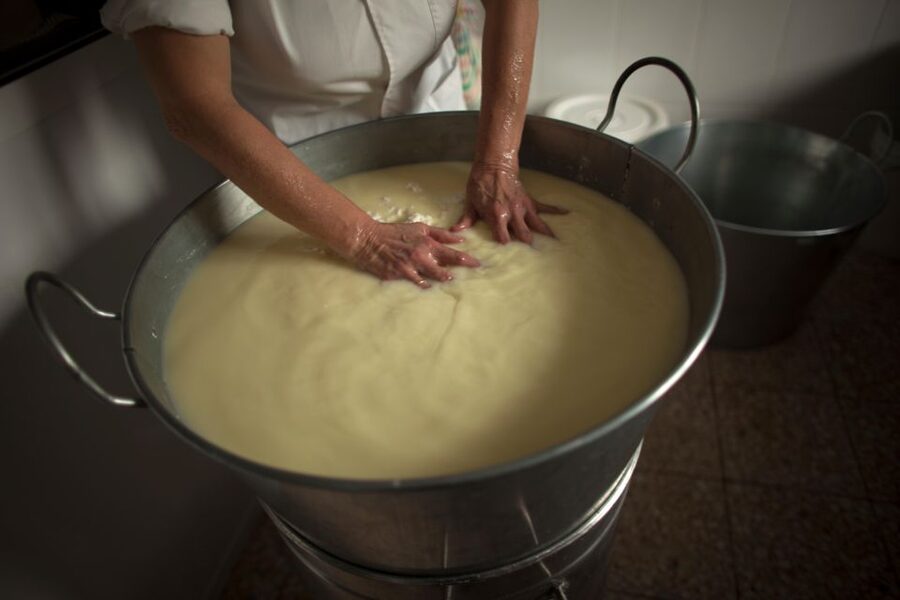 Cheese Making and Tasting Tour from Cagliari with Lunch - Cagliari pickup and a 6-hour rhythm that actually works