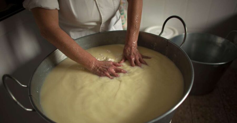Cheese Making and Tasting Tour from Cagliari with Lunch - The farm walk after the demo: animals and real production space