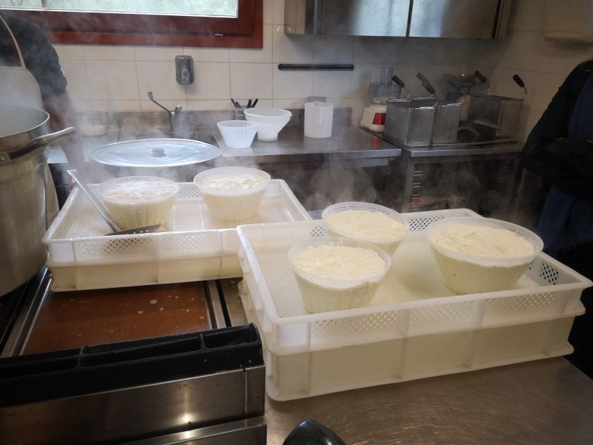 Cheese Making and Tasting Tour from Cagliari with Lunch - Lunch at Su Sorgiali: tagliere, grain-forward first course, and wine