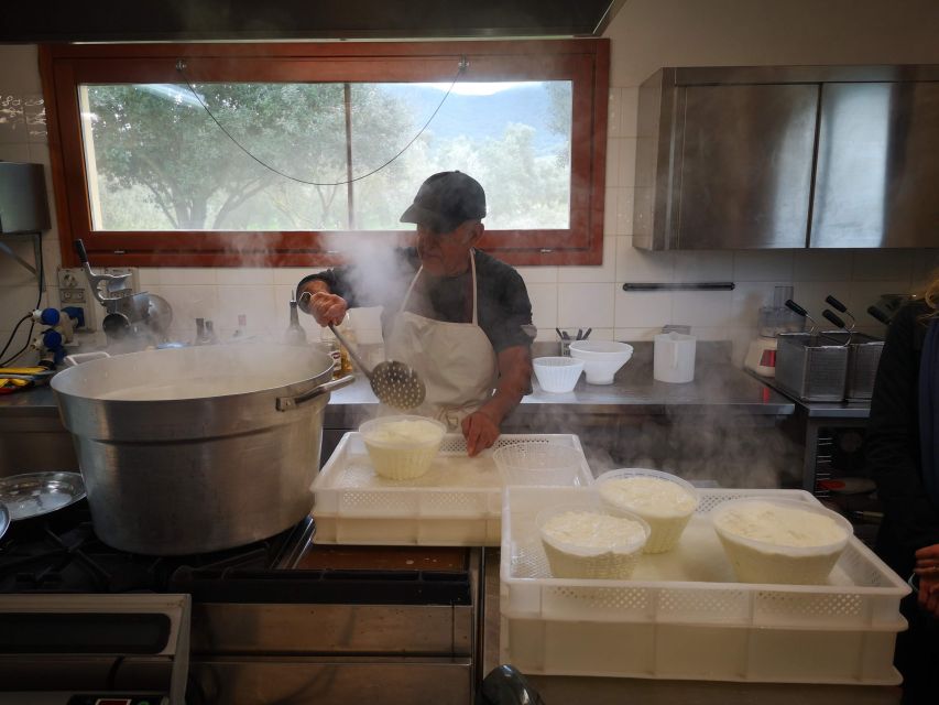 Cheese Making and Tasting Tour from Cagliari with Lunch - Price and value: what $305.87 includes (and why it’s not just cheese)