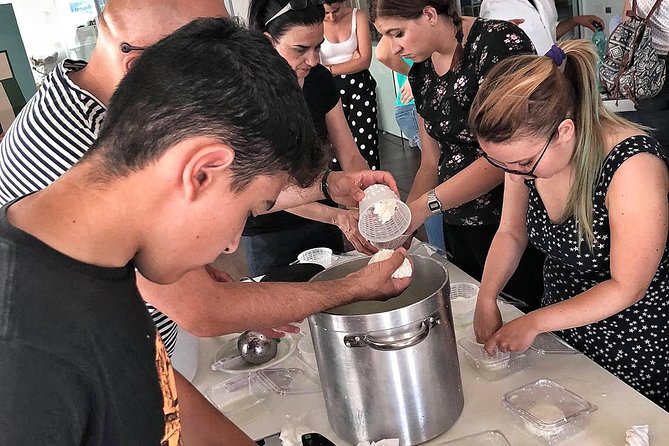 Cheesemaker for a day & visit to the dairy - Key highlights worth your time
