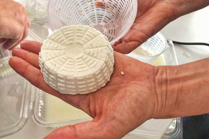 Cheesemaker for a day & visit to the dairy - Price and value: $47.80 for learning you can taste