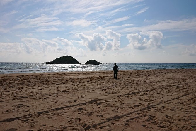 Chia Beaches Tour from Cagliari with van - Santa Gilla lagoon: flamingos and a meaningful first stop