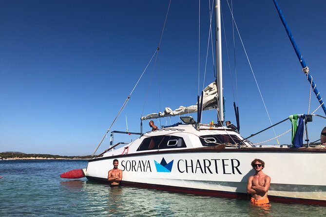 Daily cruise on a sailing catamaran on the La Maddalena archipelago - Stop 3: the final big free-time block (and the dolphin factor)
