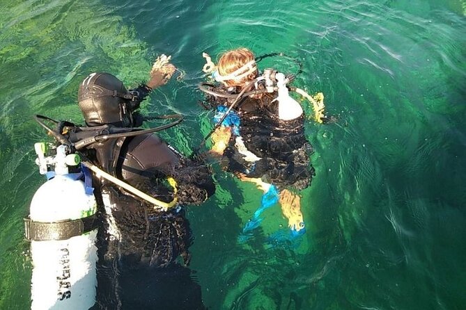 Diving baptism with cylinders (Introdive) at the Capo Carbonara Marine Protected Area - Key highlights at a glance