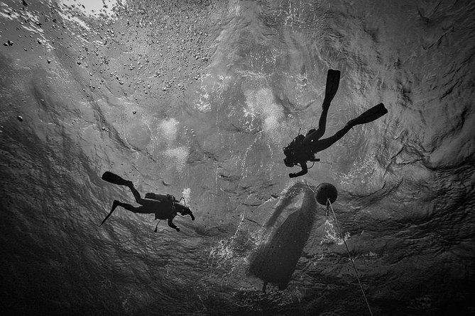 Diving baptism with cylinders (Introdive) at the Capo Carbonara Marine Protected Area - Team style: why 1:1 guidance matters under the water