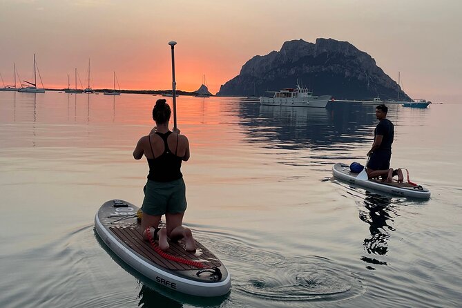 Dolphin-spotting SUP tour with Golfo Aranci aperitif - Key highlights to know before you go
