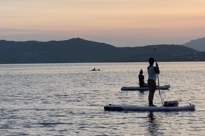 Dolphin-spotting SUP tour with Golfo Aranci aperitif - What’s included (and what you still need to bring)