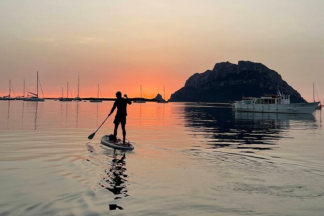Dolphin-spotting SUP tour with Golfo Aranci aperitif - Price and value: where the $71.15 makes sense