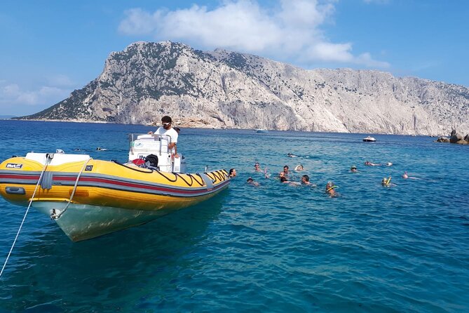Dolphin Watching and Snorkeling in Figarolo in Sardinia - Professional Guides and a Tiny-Group Vibe