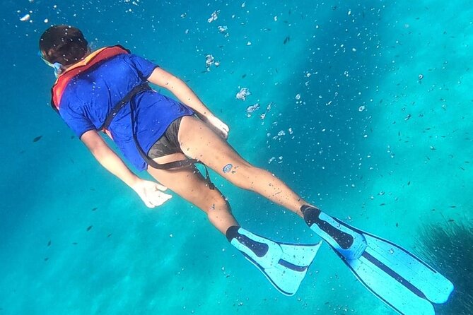 Dolphin Watching and Snorkeling in Figarolo in Sardinia - Price and Value: Is $84.69 a Fair Deal?