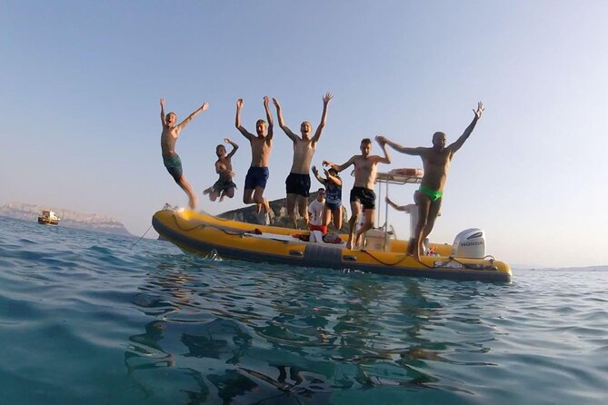 Dolphin Watching and Snorkeling in Figarolo in Sardinia - Capo Figari Dolphin Watching: What to Look For, and Why the Guide Matters