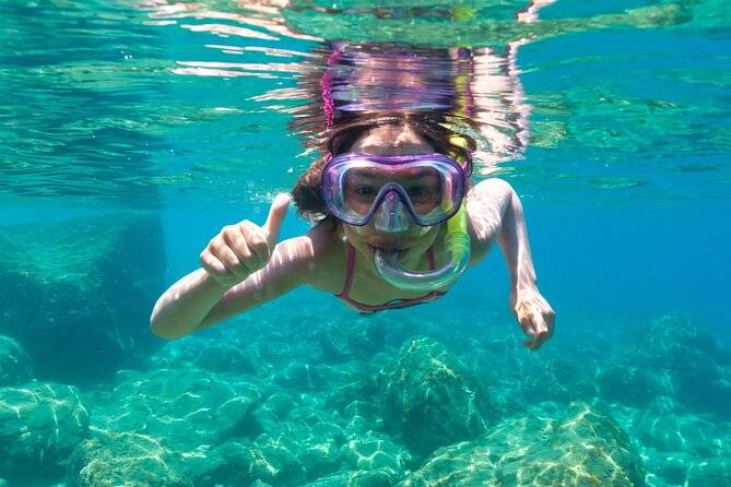 Dolphin watching and snorkeling in Figarolo - The 3.5 hours from Olbia: what the timing feels like
