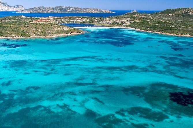 Dolphin Watching Boat Excursion to Figarolo Island from Olbia - Dolphin watching that feels like a search, not a show