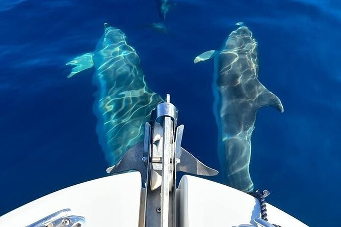 Dolphin Watching Boat Excursion to Figarolo Island from Olbia - Stop 3: La Spiaggia Bianca (White Beach)—a classic swim-and-look stop