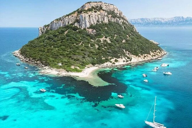 Dolphin Watching Boat Excursion to Figarolo Island from Olbia - The day’s pacing: how it all fits into 3.5 hours