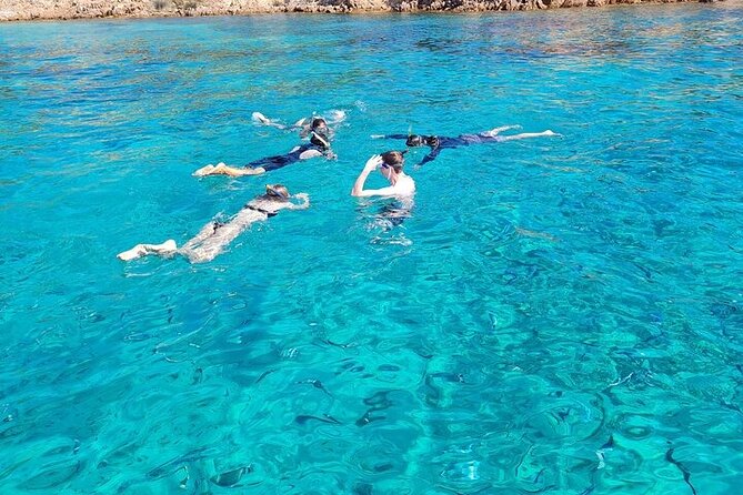 Dolphin Watching Tour with Snorkeling from Olbia - Dolphin watching from Olbia: why Golfo Aranci is the play