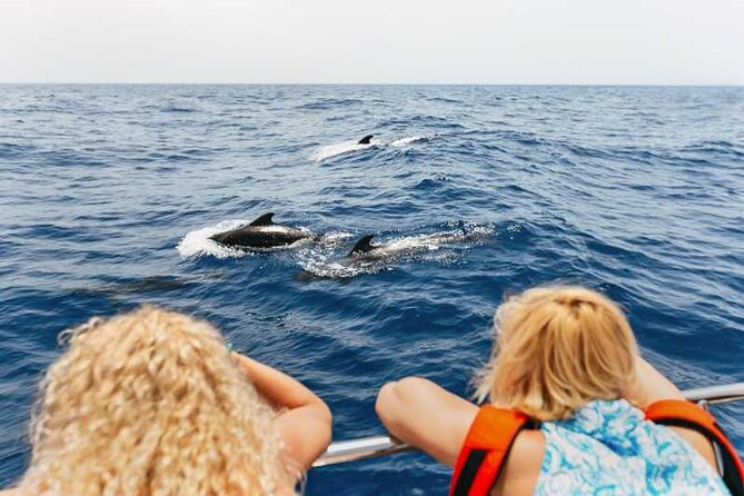 Dolphin Watching Tour with Snorkeling from Olbia - Figarolo Beach and the island views you came for