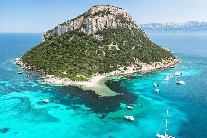 Dolphin Watching Tour with Snorkeling from Olbia - The boat and timing: what 3 hours 30 minutes really feels like