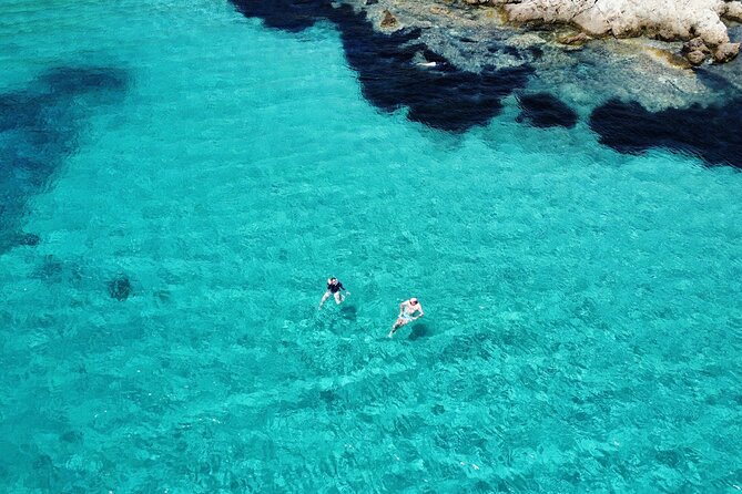 Dolphins Circus tour in Small group - Snorkeling at the tour’s chosen “best spot” (and how to get more out of it)
