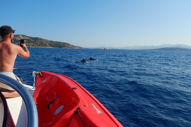 Dolphins Circus tour in Small group - Pickup, mobile ticket, and the easiest way to plan your day