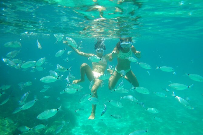 Dolphins Circus tour in Small group - The 3-hour flow: cruise, pause, snorkel, then relax