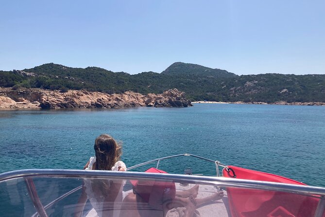 Dolphins Rib boat (up 6 people) Private - Figarolo and Snorkeling Time: Clear Water Meets Real Variety