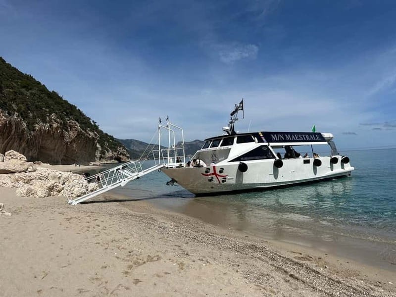 Dorgali: Cala Luna Boat Trip - Comfort, accessibility, and languages