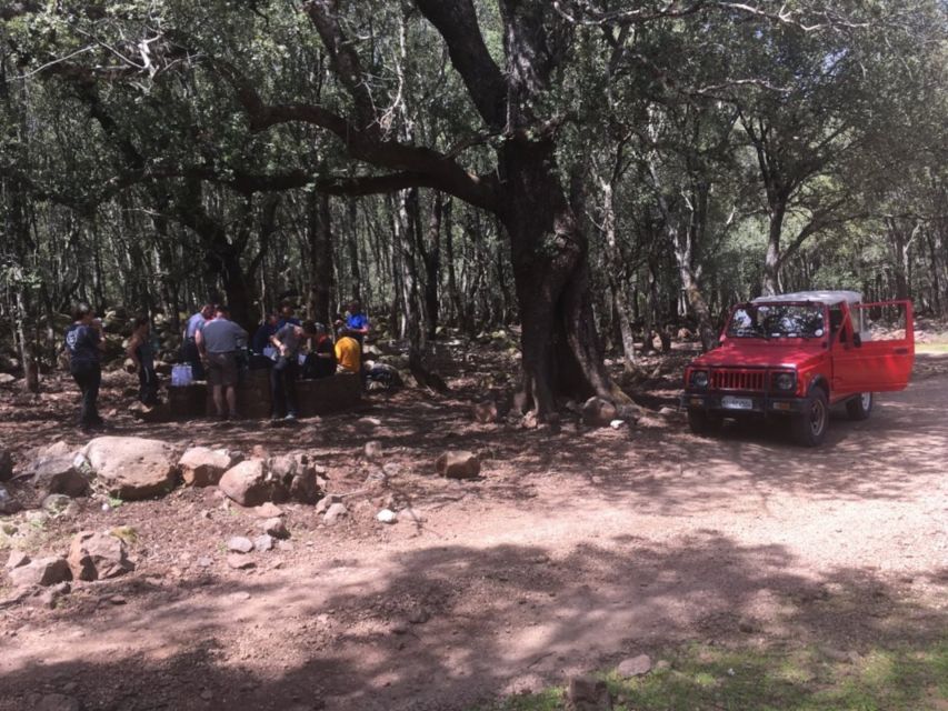 Dorgali: Supramonte Full-day Jeep Off-Roading & Hiking Tour - Gulf of Orosei Viewpoints and Baunei Forest Aperitivo