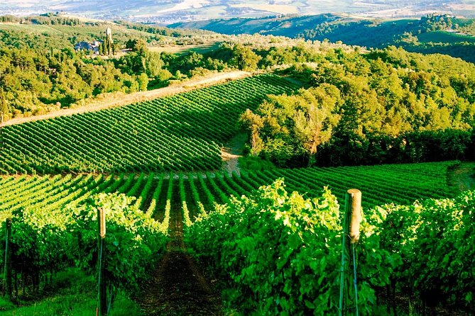 Exclusive Private Tuk-Tuk Tour: Visit to a Sardinian Winery - The winery visit: cellars and barrel rooms, not just a sales stop